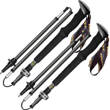 Трекінгові палиці VIPOLE Vipole Approach Long Carbon 130 DLX Grey (S25 42)