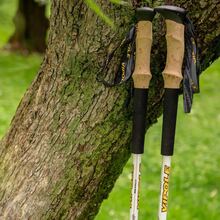 Треккинговые палки VIPOLE Vipole Base Camp Cork DLX White (S25 06)