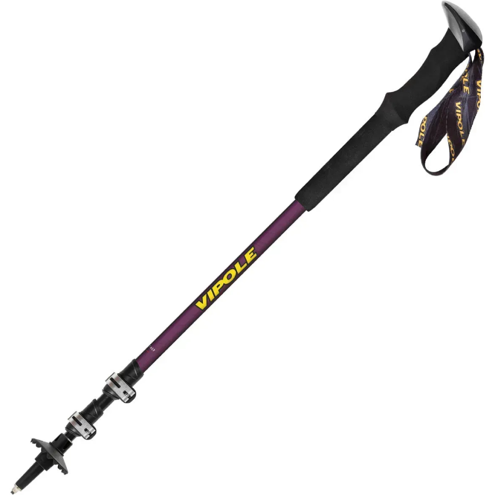 Трекінгові палиці VIPOLE Vipole Base Camp Violet DLX (S25 08) Чохол True