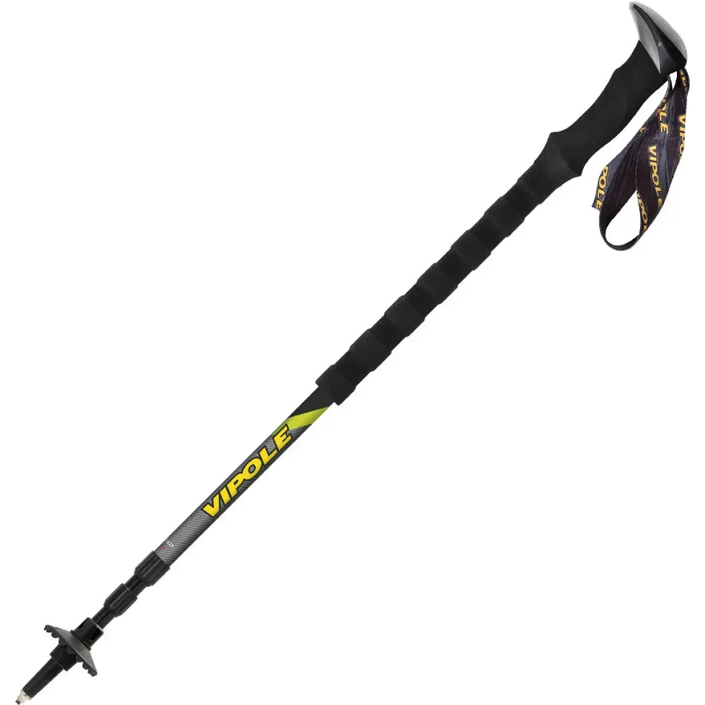 Треккинговые палки VIPOLE Vipole Carbontrek Long DLX Gray (S25 01) Чехол True