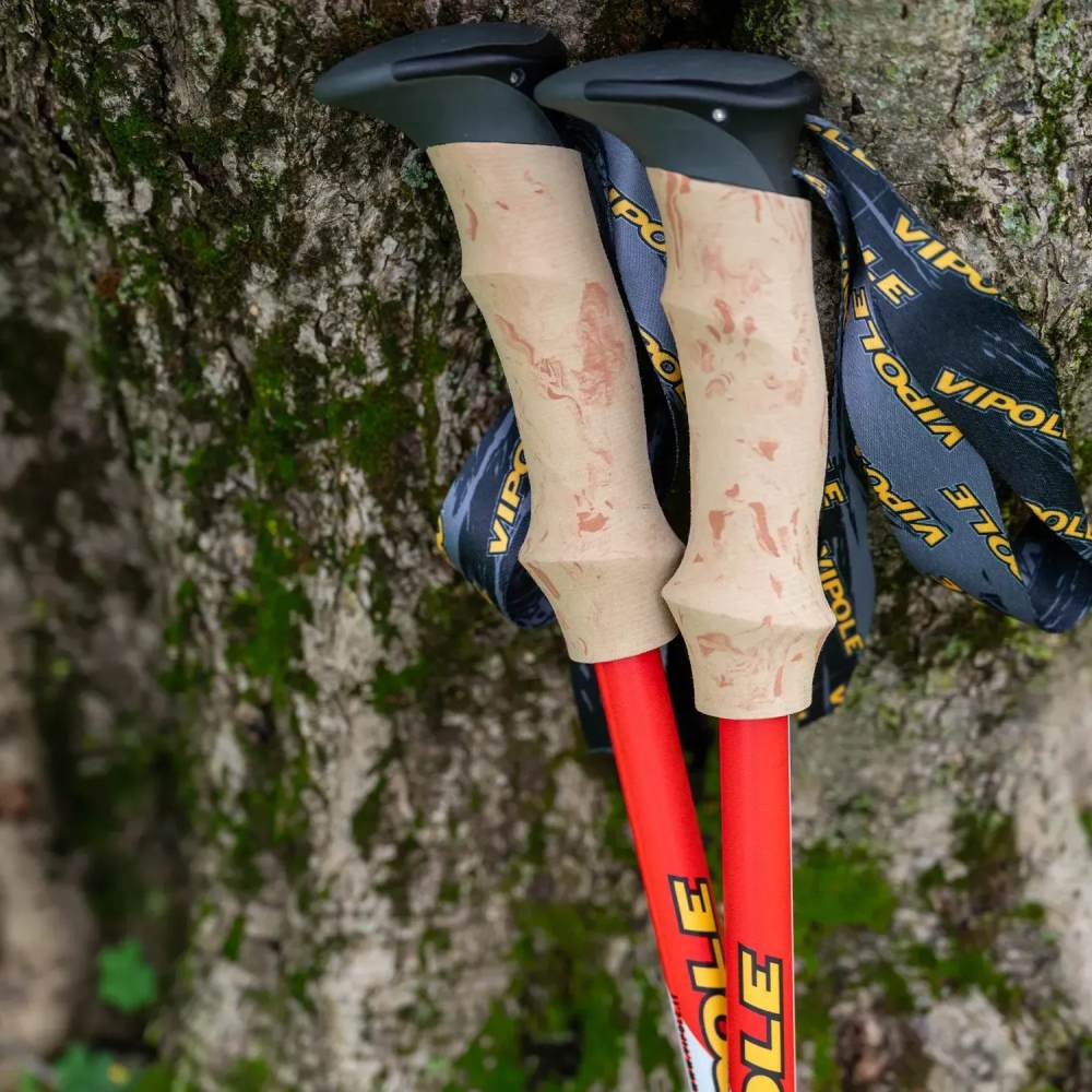 Изображение Треккинговые палки VIPOLE Vipole Trekker Cork Red (S25 09)