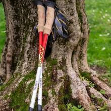 Треккинговые палки VIPOLE Vipole Trekker Cork Red (S25 09)