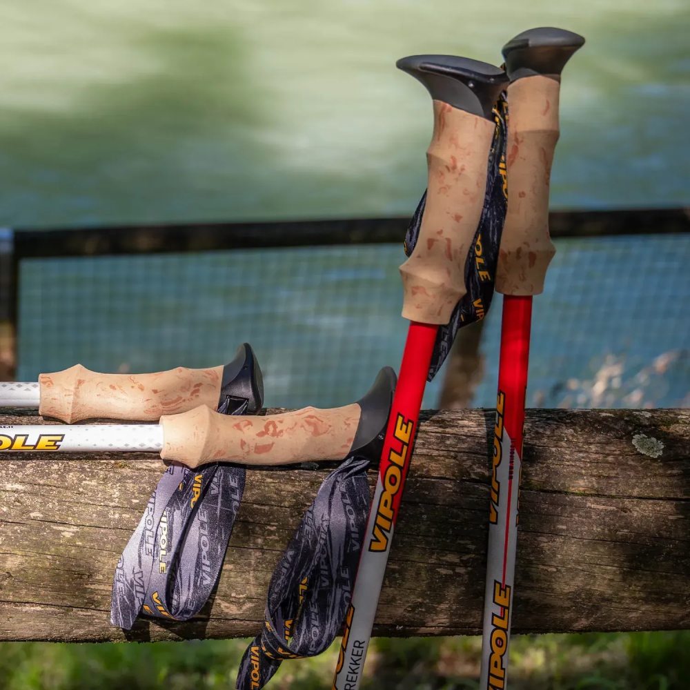 Заказать Треккинговые палки VIPOLE Vipole Trekker Cork Red (S25 09)