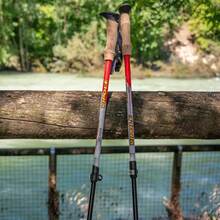 Треккинговые палки VIPOLE Vipole Trekker Cork Red (S25 09)