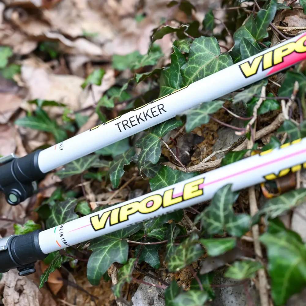 В Україні Трекінгові палиці VIPOLE Vipole Trekker Violet (S25 11)