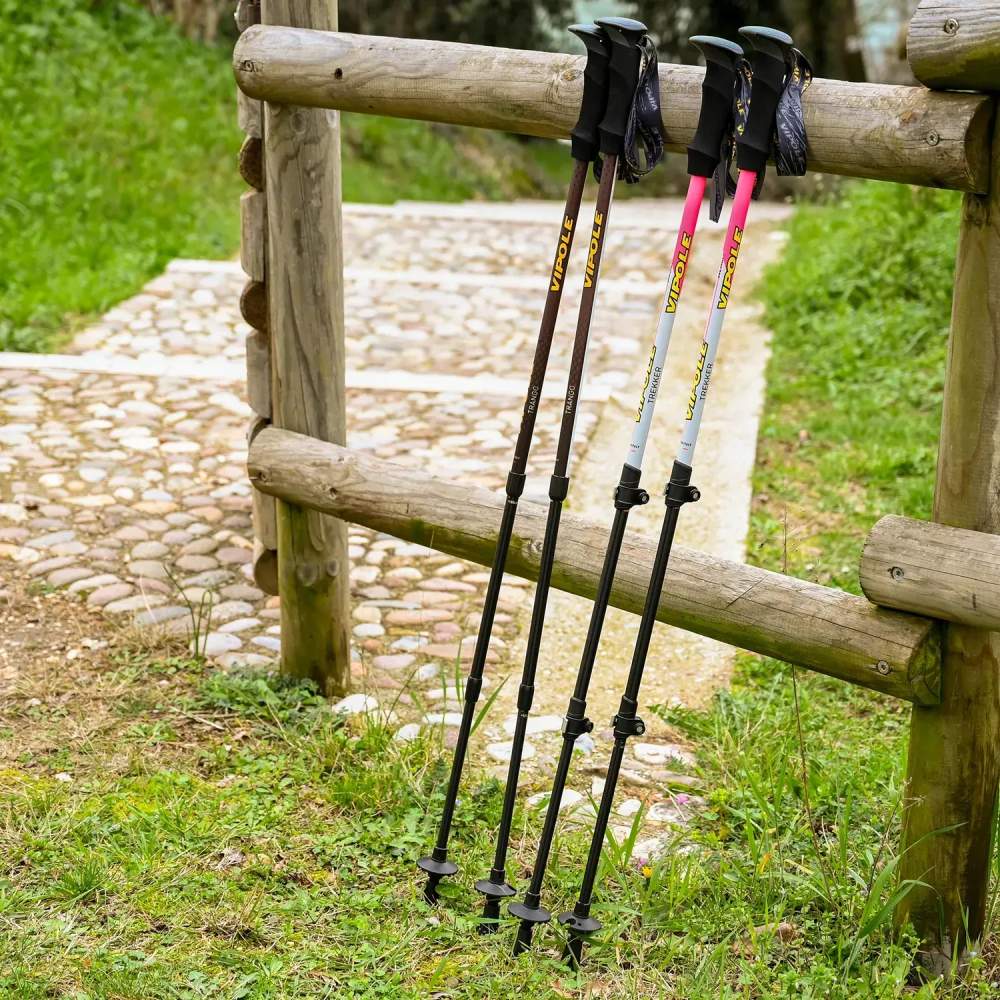 В інтернет магазині Трекінгові палиці VIPOLE Vipole Trekker Violet (S25 11)