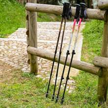 Трекінгові палиці VIPOLE Vipole Trekker Violet (S25 11)