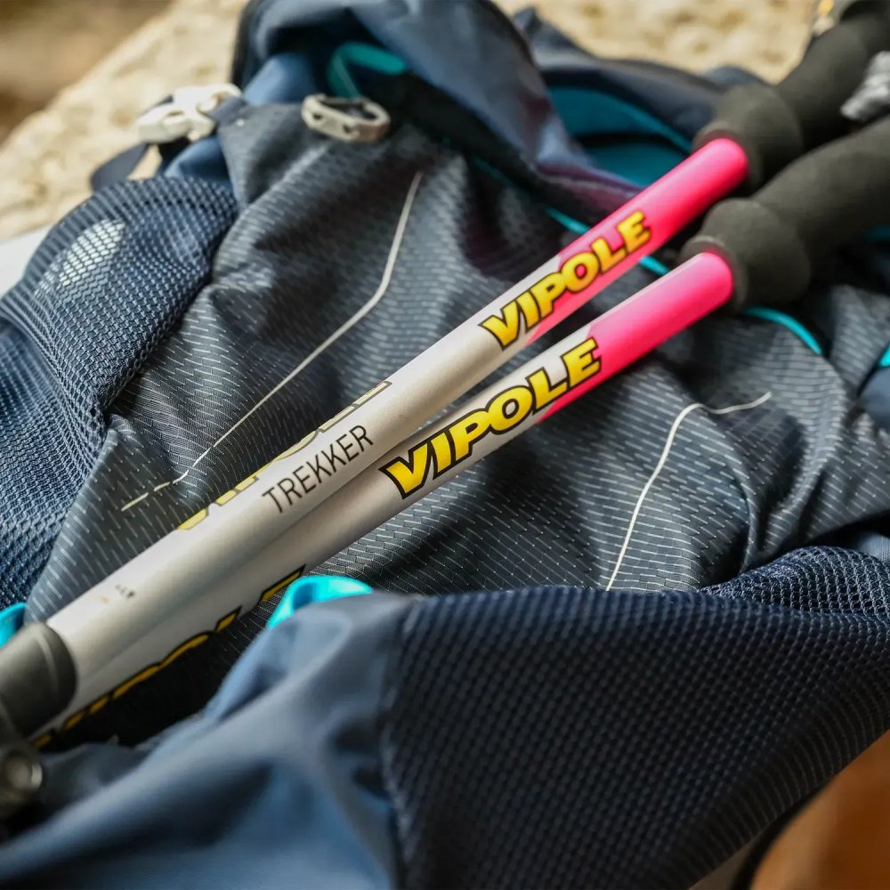 Покупка Трекінгові палиці VIPOLE Vipole Trekker Violet (S25 11)