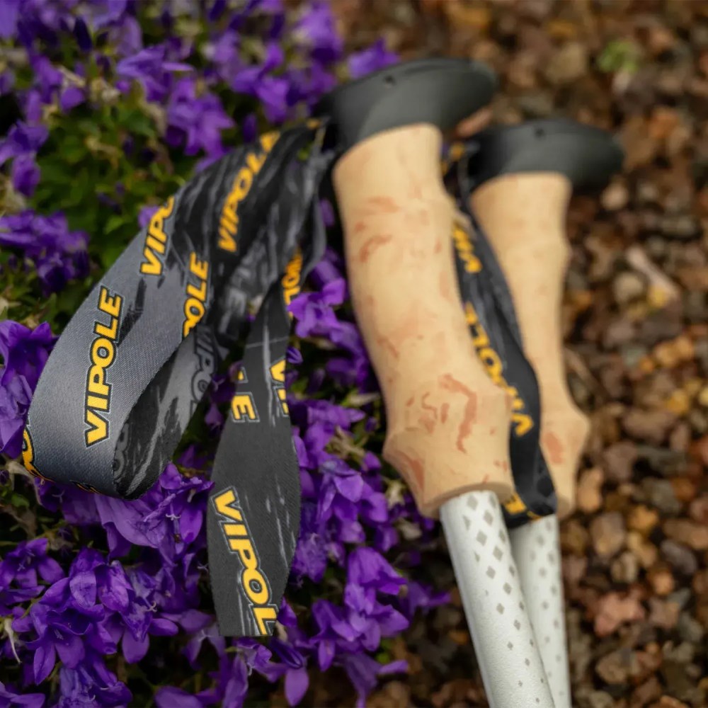 Изображение Треккинговые палки VIPOLE Vipole Trango Cork Gray (S25 14)