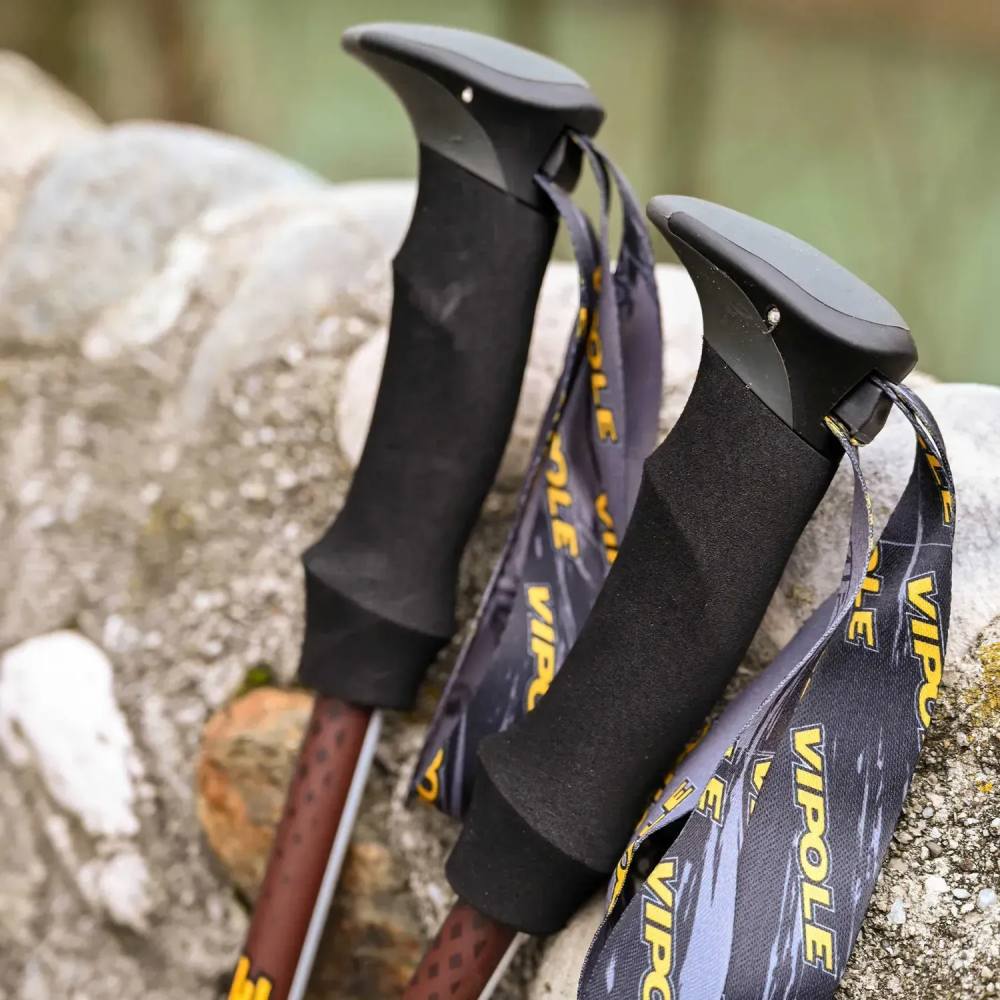 Фото Треккинговые палки VIPOLE Vipole Trango Brown (S25 15)