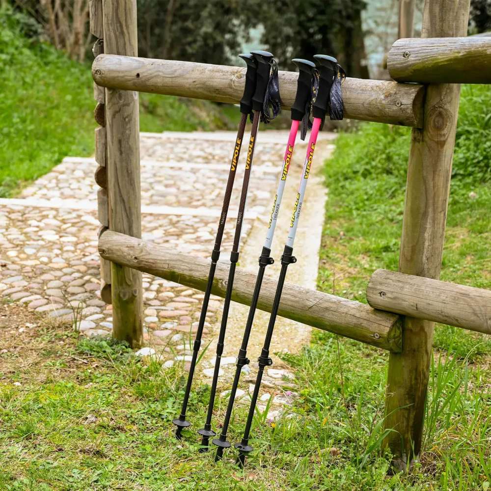 В Украине Треккинговые палки VIPOLE Vipole Trango Brown (S25 15)