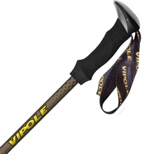 Треккинговые палки VIPOLE Vipole Trango Brown (S25 15)