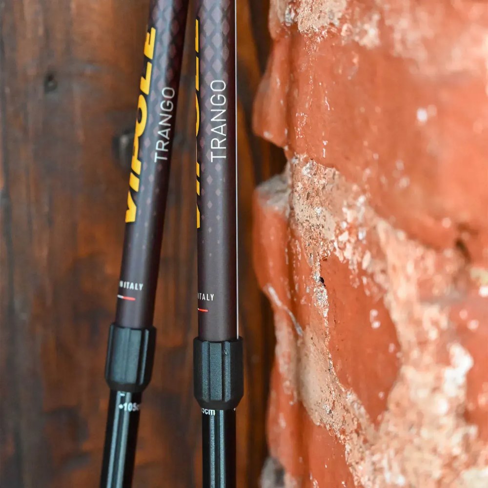 Заказать Треккинговые палки VIPOLE Vipole Trango Brown (S25 15)