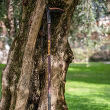 Трекінгова палиця VIPOLE Vipole Walker Brown (S25 22)