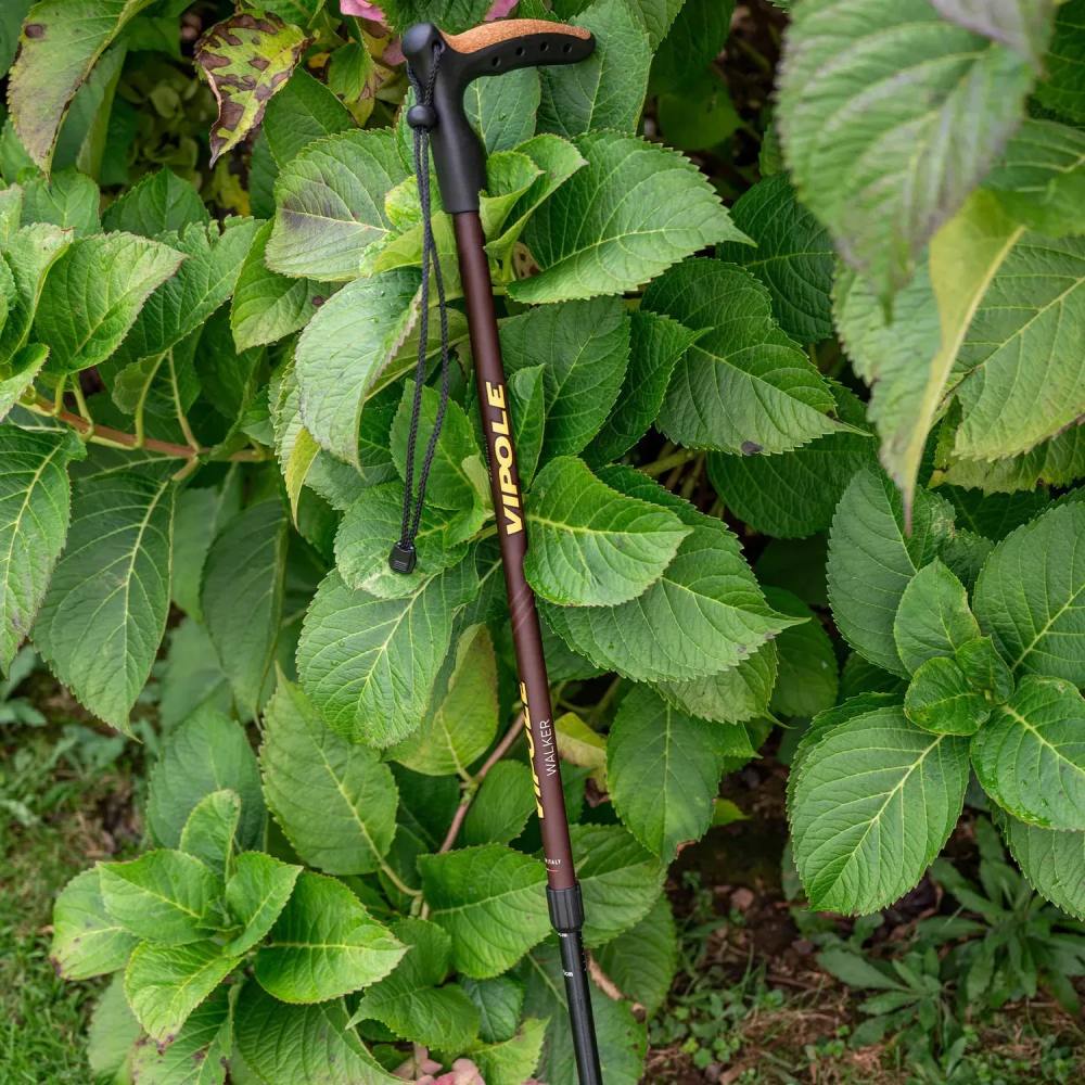 Фото Трекінгова палиця VIPOLE Vipole Walker Brown (S25 22)