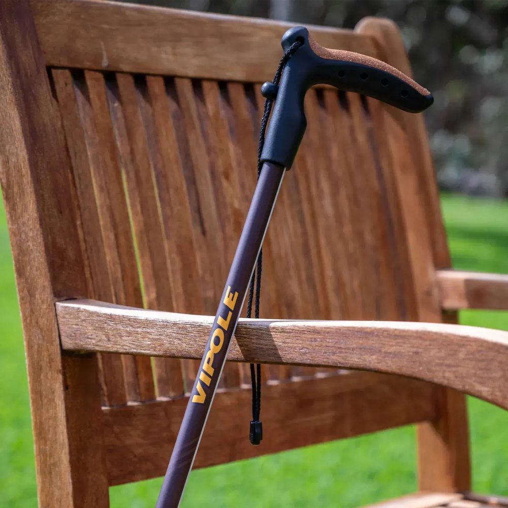 Трекінгова палиця VIPOLE Vipole Walker Brown (S25 22) Чохол False