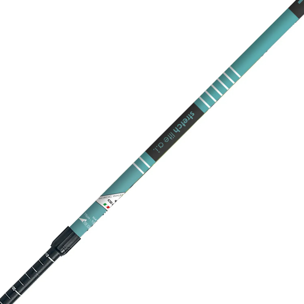 Палки для скандинавской ходьбы GABEL Stretch Lite A.I. Avio (7008352490000) Комплектация Палки 2 шт; Съемный ремешок-перчатка 2 шт; Съемное трекинговое кольцо диаметром 38 мм 2 шт; Резиновый защитный колпачок-ботинок 2 шт; Скоба для соединения двух палок вместе 2 шт; Пластиковый защитный колпачок (только для защиты, не для ходьбы) 2 шт