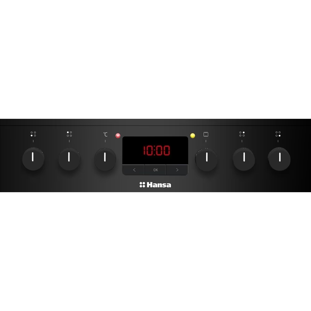Плита электрическая HANSA FCCM58209H Покрытие варочной поверхности стеклокерамика