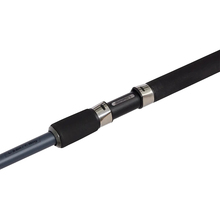 Удилище BRAIN Champ SE 3.3 м 150 г (1858.56.47)