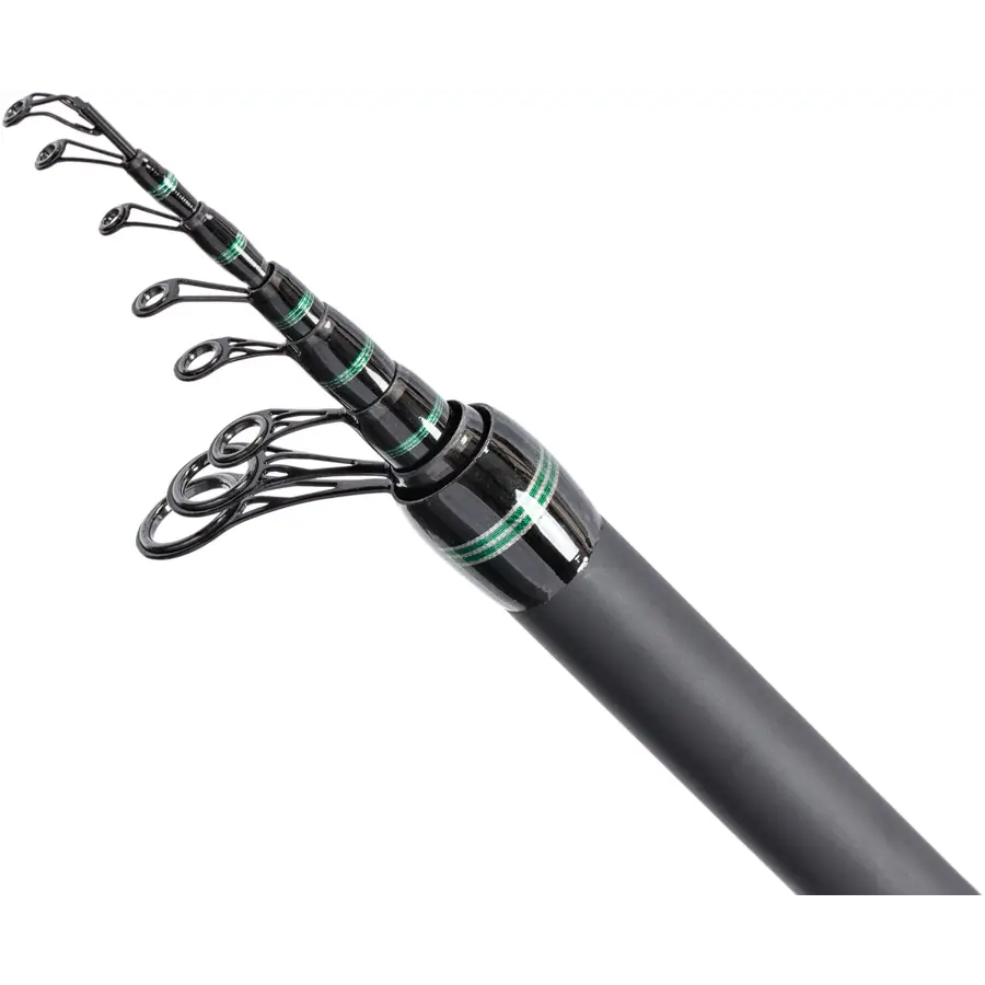 Вудлище Brain Phantom 5 м (1858.41.05) Тип болонські