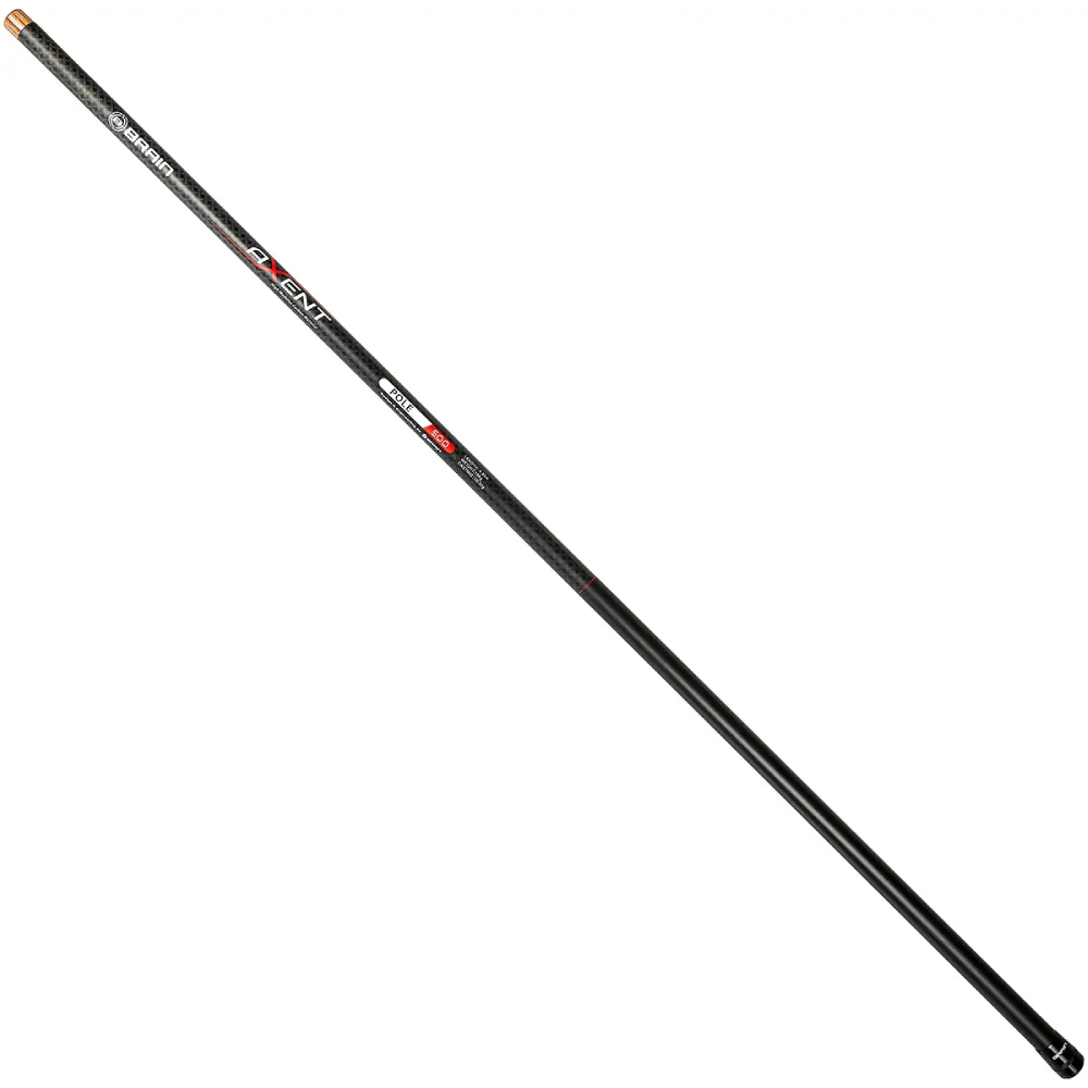 Вудлище BRAIN Axent 7 409 г (1858.43.25)