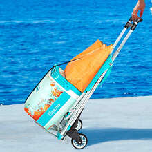 Тележка ITECH FCT75