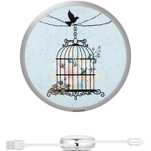 Кабель JOYROOM Painting PT-S01 Lightning 90 см 2A Flower cage (RL049417)