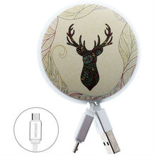 Кабель JOYROOM Painting PT-S01 microUSB 90 см 2A Deer forest (RL053240)