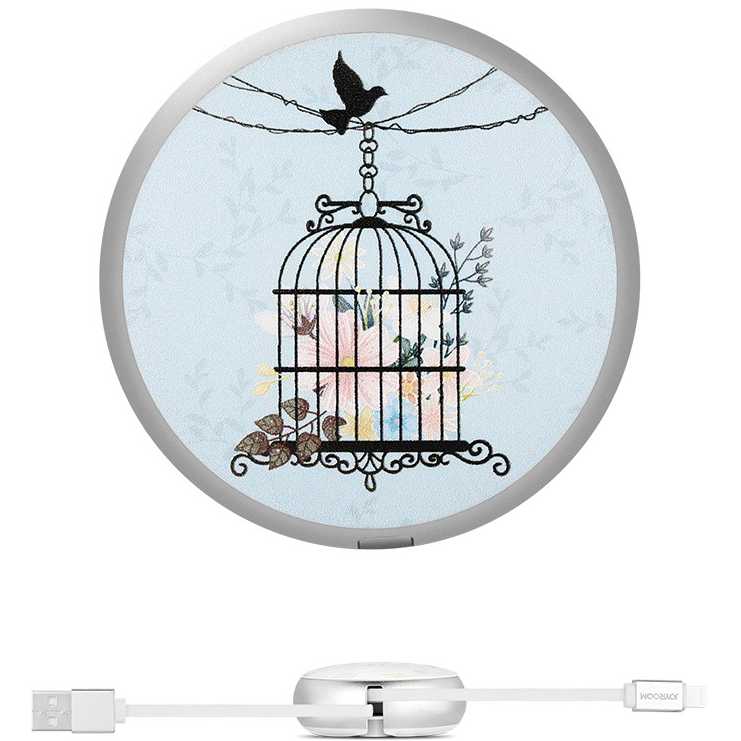 Кабель JOYROOM Painting PT-S01 microUSB 90 см 2A Flower cage (RL049420)