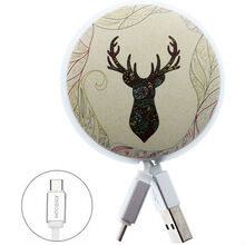 Кабель JOYROOM Painting PT-S01 Type-C 90 см 2A Deer forest (RL053247)