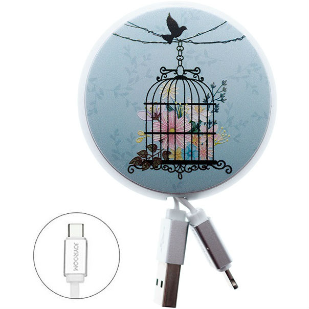 Кабель JOYROOM Painting PT-S01 Type-C 90 см 2A Flower cage (RL053244)