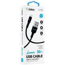 Кабель GELIUS Lumin Lamp GP-UC100C USB-USB Type-C 2м Black (00000100087)