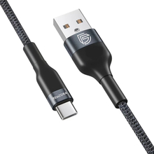 Кабель REMZONA USB2.0 - Type-C 3A 2 м (CUC2-02BK) Кабель REMZONA USB2.0 - Type-C 3A 2 м (CUC2-02BK)