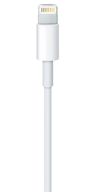 Кабель передачі даних APPLE Lightning to USB2.0(0.5 m,for iPod/iPhone) Тип USB - Lightning