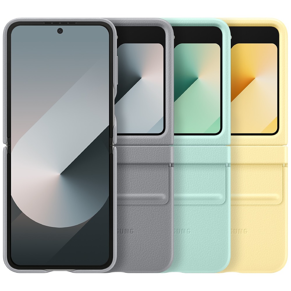 Покупка Чехол SAMSUNG для Samsung Flip 6 Kindsuit Case Gray (EF-VF741PJEGUA)