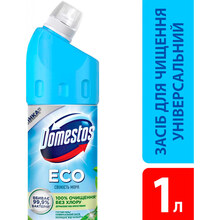 Засіб для чищення Domestos Свіжість моря 1 л (8720182992680)