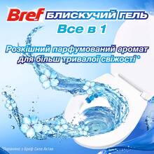 Туалетный блок BREF Brilliant Gel Арктический океан 2штx42г (2870915)