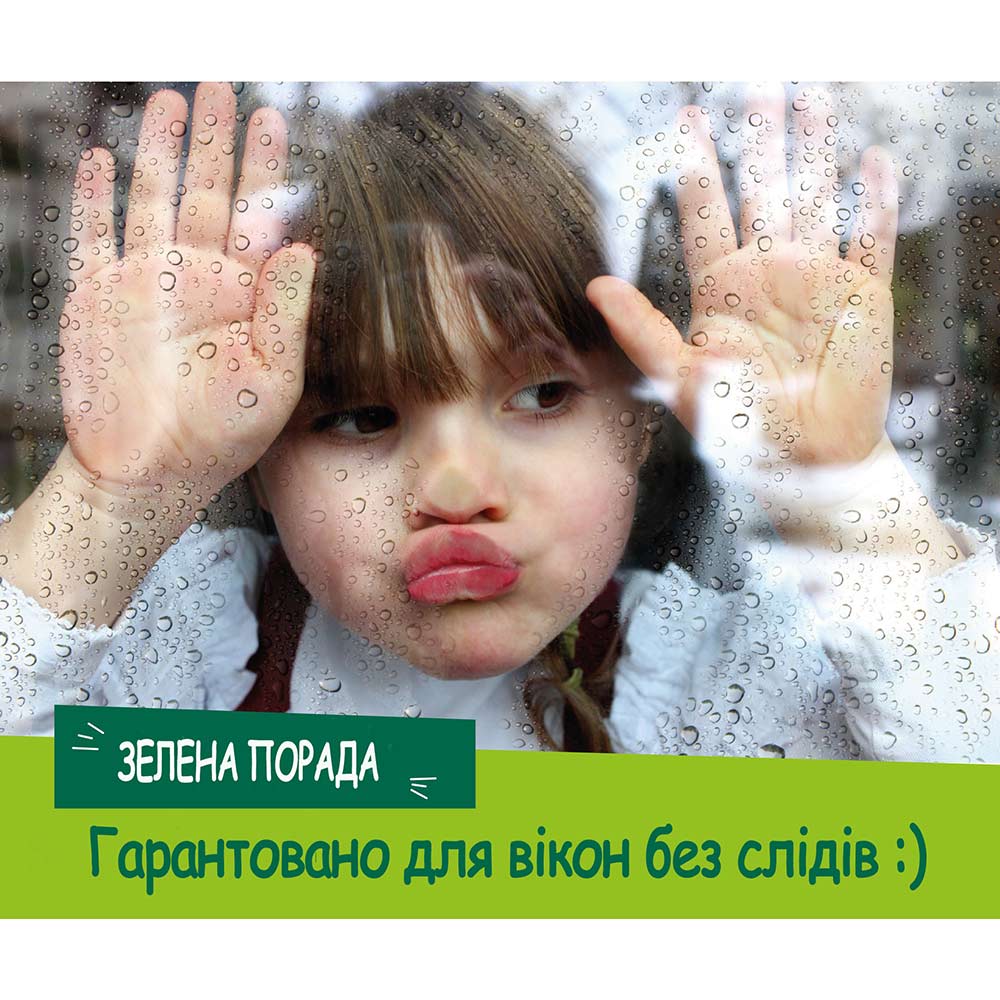 Средство для мытья стекол L'ARBRE VERT 740 мл (3450601013652) Тип средства для уборки
