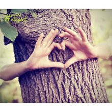 Чистящее средство L'ARBRE VERT мята и базилик 500 мл (3450601026096)