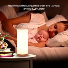 Настольная лампа TAOTRONICS TT-DL23 Pro RGB LED Portable Lamp (78-03010-451)