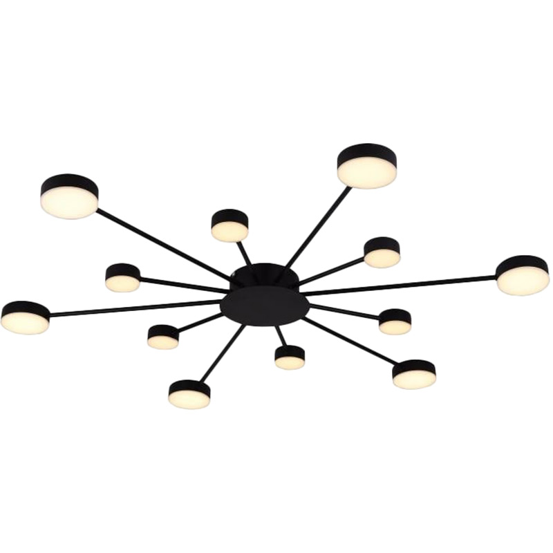 Светильник MIORRO LED Foresta Black (51-313-004) Тип LED
