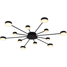 Светильник MIORRO LED Foresta Black (51-313-004)