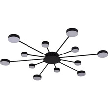 Светильник MIORRO LED Foresta Black (51-313-004)