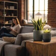 Фітолампа для рослин EMOS Z7901 White