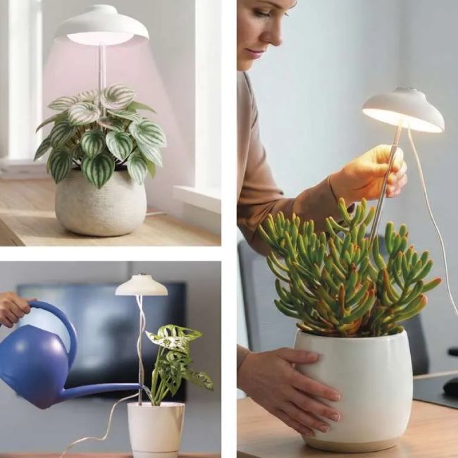 Огляд Фітолампа для рослин EMOS Z7901 White