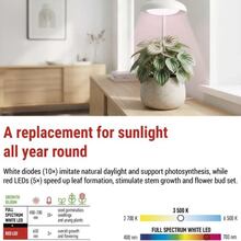 Фітолампа для рослин EMOS Z7901 White