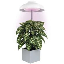 Фітолампа для рослин EMOS Z7901 White