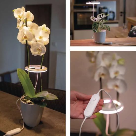 Огляд Фітолампа для рослин EMOS Z7902 White