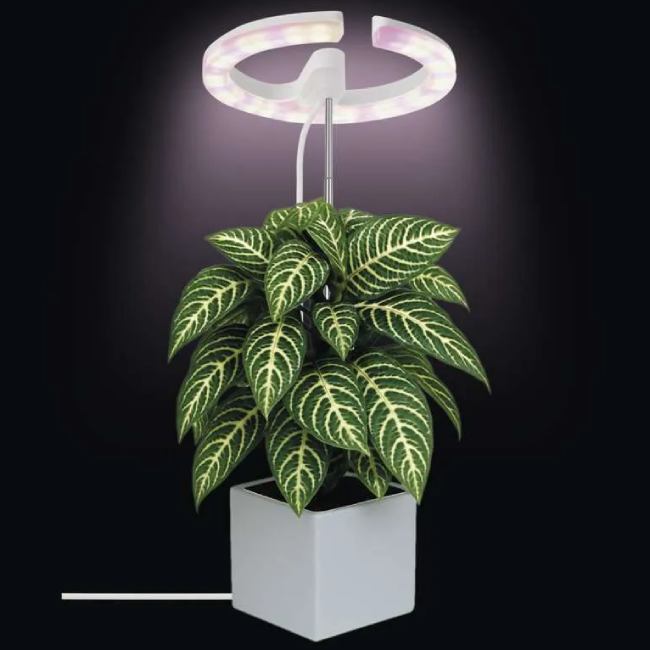 Зовнішній вигляд Фітолампа для рослин EMOS Z7902 White