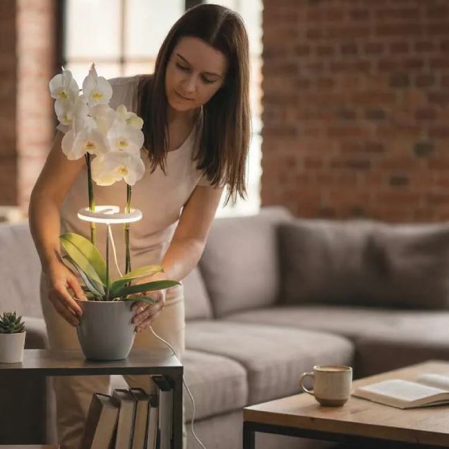 Фото Фітолампа для рослин EMOS Z7902 White